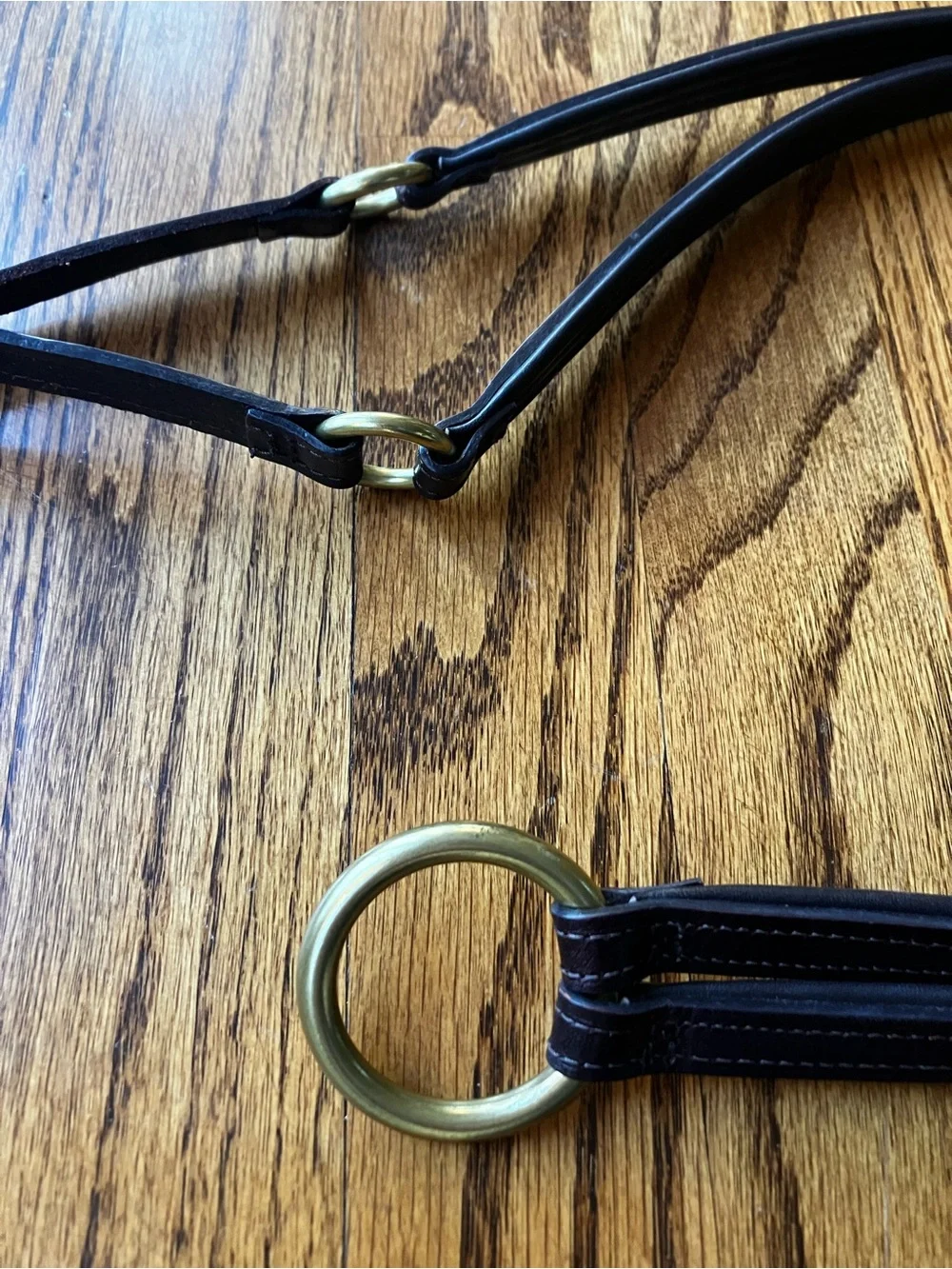 Women’s Equestrian Belt - XL